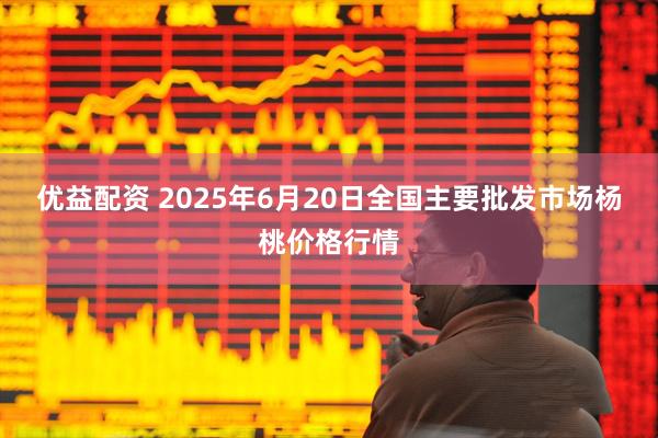 优益配资 2025年6月20日全国主要批发市场杨桃价格行情