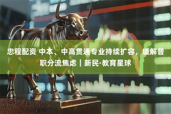 忠程配资 中本、中高贯通专业持续扩容，缓解普职分流焦虑｜新民·教育星球