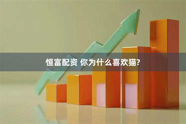 恒富配资 你为什么喜欢猫?