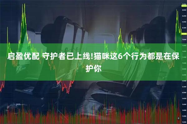启盈优配 守护者已上线!猫咪这6个行为都是在保护你