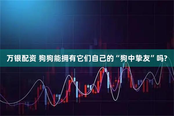 万银配资 狗狗能拥有它们自己的“狗中挚友”吗?