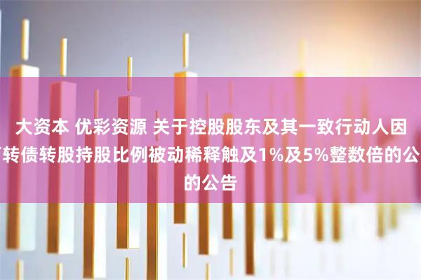 大资本 优彩资源 关于控股股东及其一致行动人因可转债转股持股比例被动稀释触及1%及5%整数倍的公告
