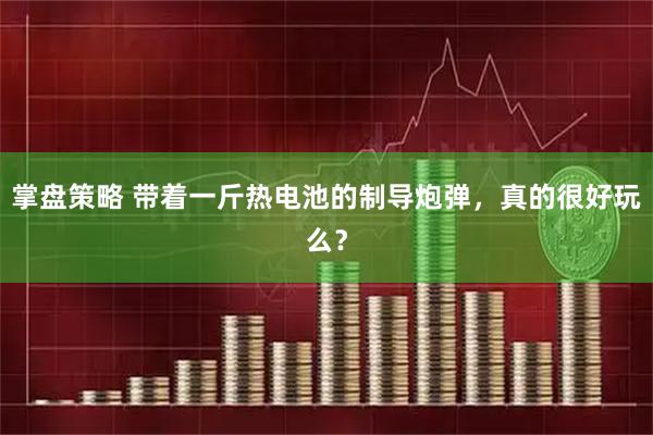 掌盘策略 带着一斤热电池的制导炮弹，真的很好玩么？